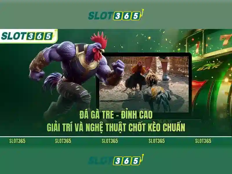Giới Thiệu Về Dịch Vụ Slot365