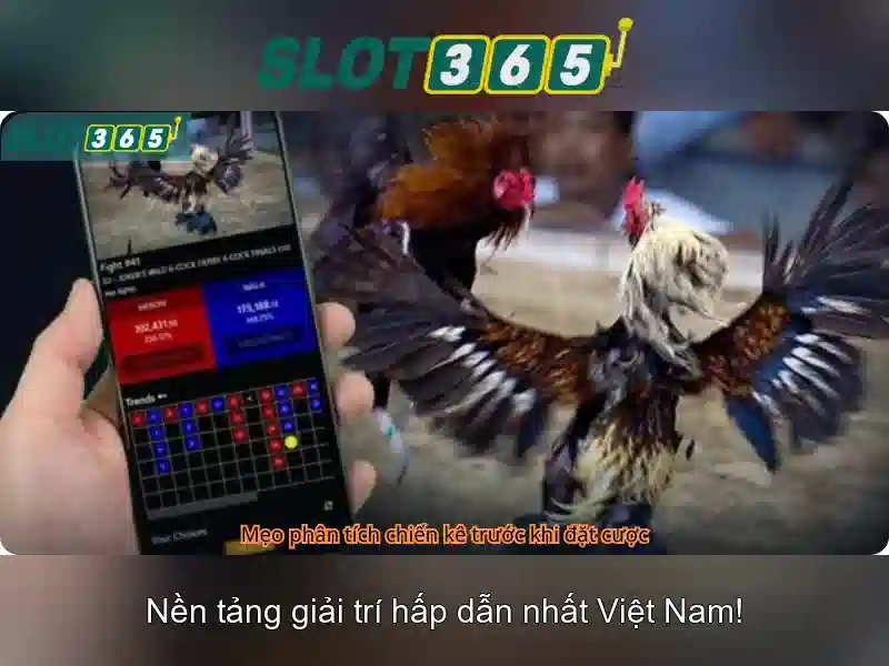 Chương trình slot365 xx vip